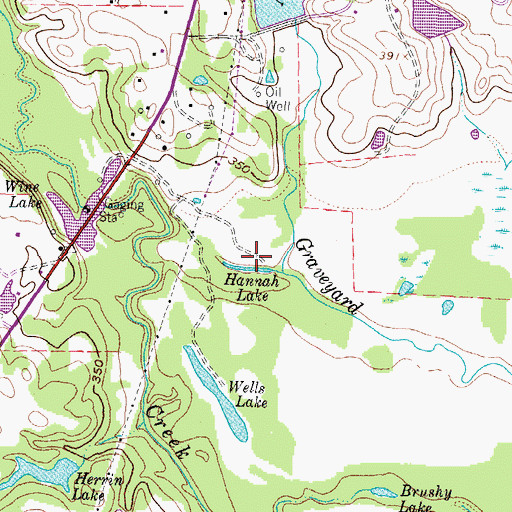 Topographic Map of Hannah Lake, TX