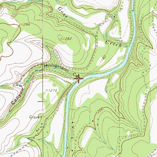 Topographic Map of Heiliqmann Canyon, TX