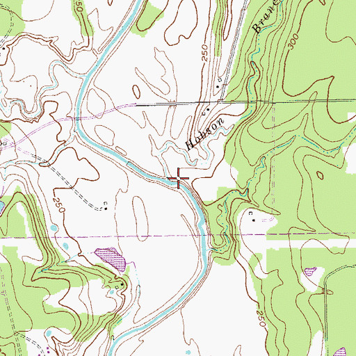 Topographic Map of Hobson Branch, TX