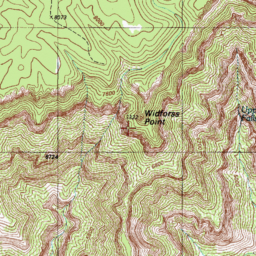 Topographic Map of Widforss Point, AZ