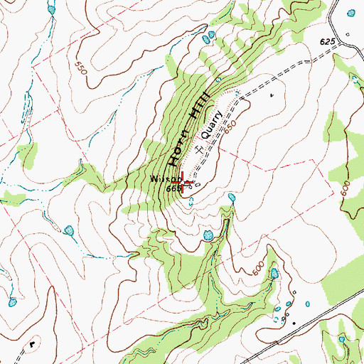Topographic Map of Horn Hill, TX