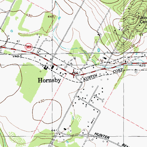 Topographic Map of Hornsby Bend, TX