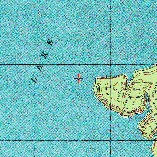 Topographic Map of Lake Houston, TX