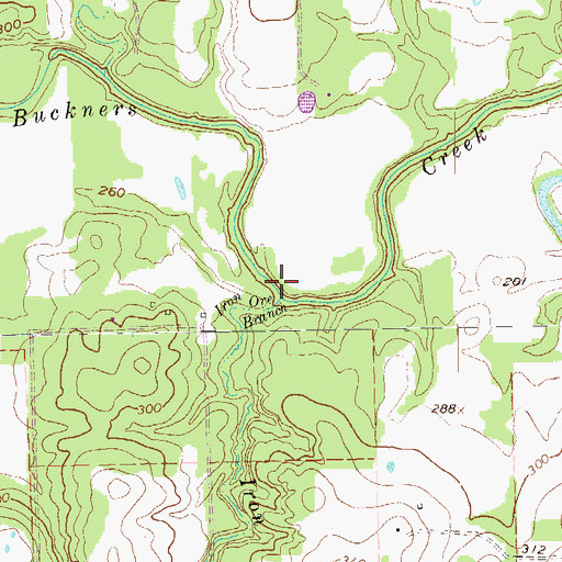 Topographic Map of Iron Ore Branch, TX