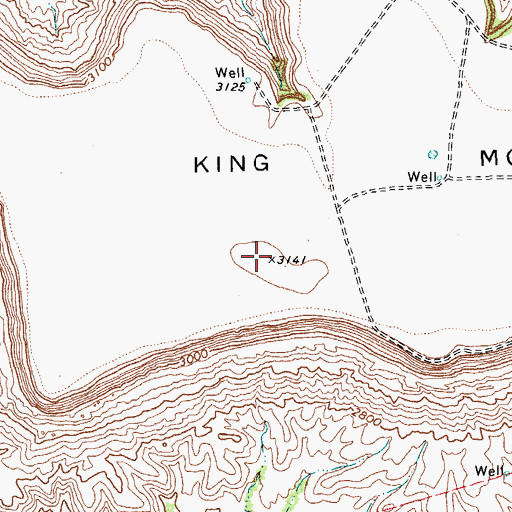 Topographic Map of King Mountain, TX