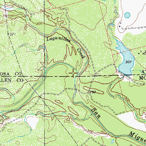 Topographic Map of Lagunillas Creek, TX