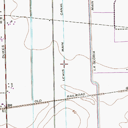 Topographic Map of Lewis Main Canal, TX