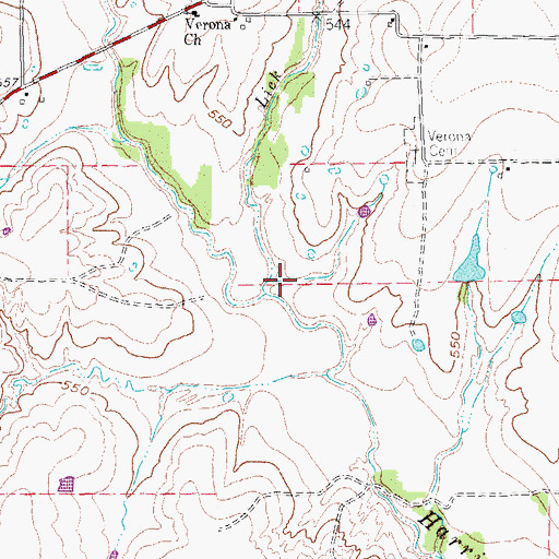 Topographic Map of Lick Branch, TX