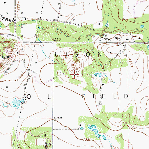 Topographic Map of Ligon Oil Field, TX