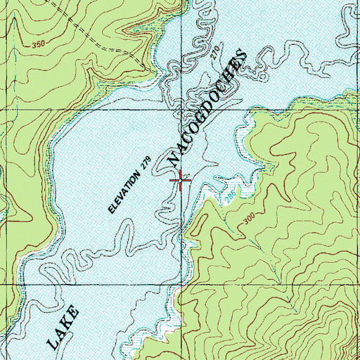 Topographic Map of Little Bayou Loco, TX