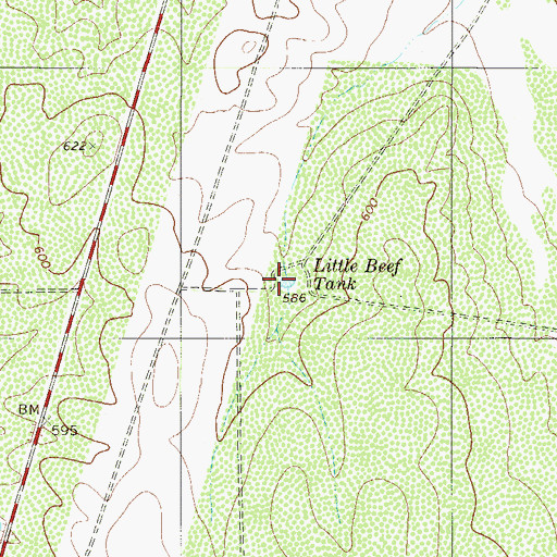 Topographic Map of Little Beef Tank, TX