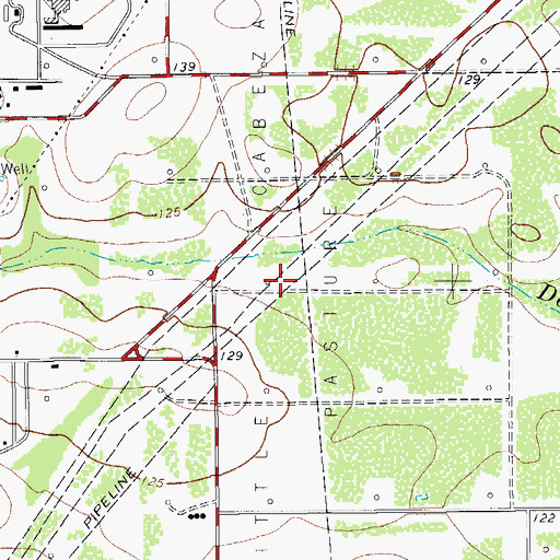 Topographic Map of Little Cabeza Pasture, TX