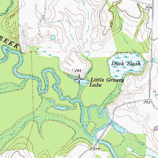Topographic Map of Little Grass Lake, TX