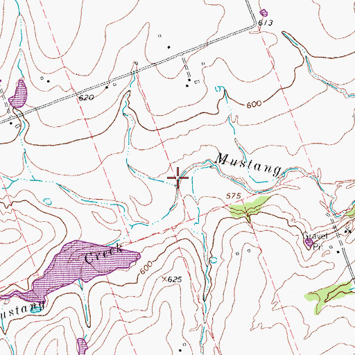 Topographic Map of Little Mustang Creek, TX