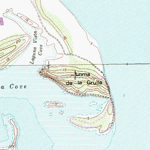 Topographic Map of Loma de la Grulla, TX