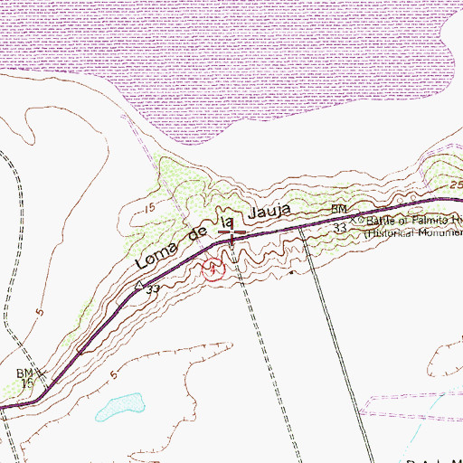 Topographic Map of Loma de la Jauja, TX