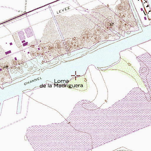 Topographic Map of Loma de la Madriguera, TX