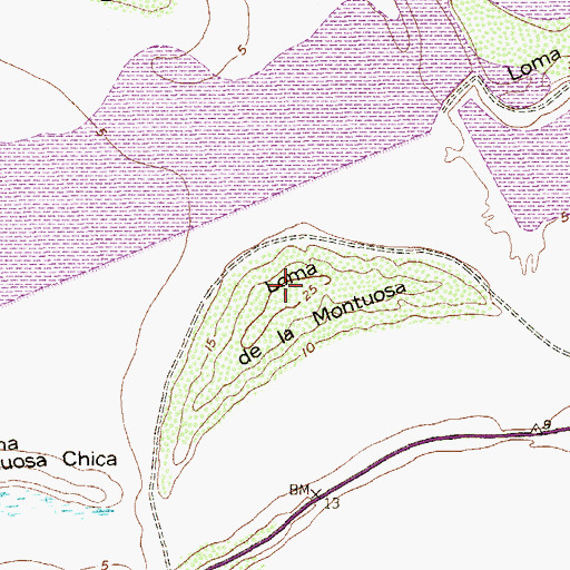 Topographic Map of Loma de la Montuosa, TX