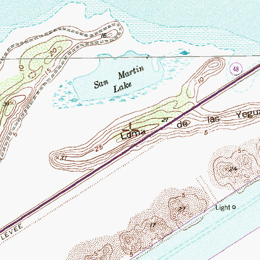 Topographic Map of Loma de las Yeguas, TX