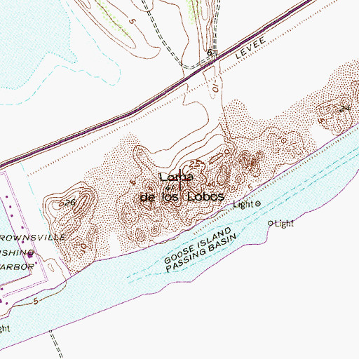 Topographic Map of Loma de los Lobos, TX