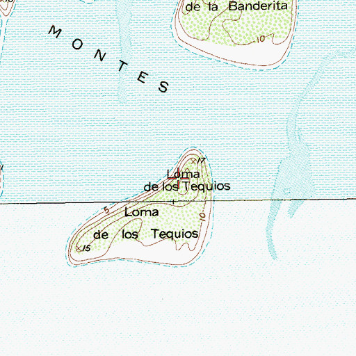 Topographic Map of Loma de los Tequios, TX