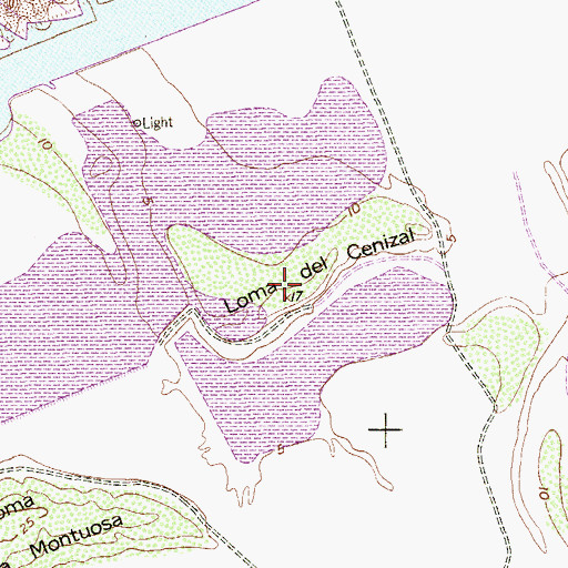 Topographic Map of Loma del Cenizal, TX