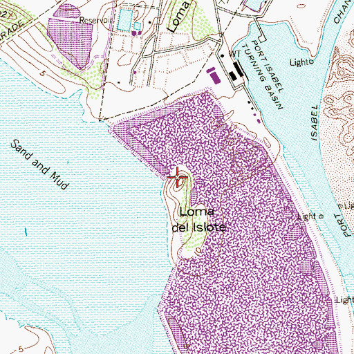 Topographic Map of Loma del Islote, TX