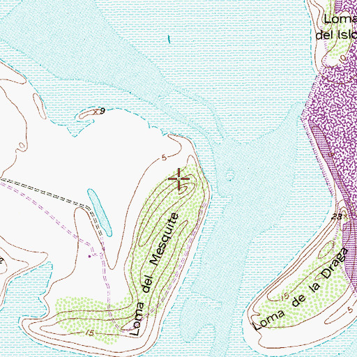 Topographic Map of Loma del Mesquite, TX