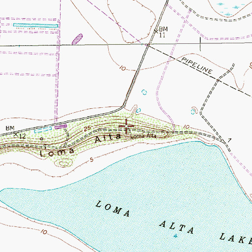 Topographic Map of Loma Alta, TX