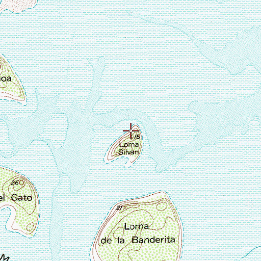 Topographic Map of Loma Silvan, TX