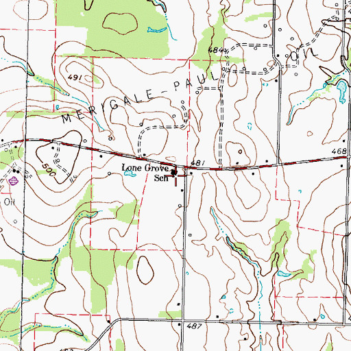 Topographic Map of Lone Grove School, TX