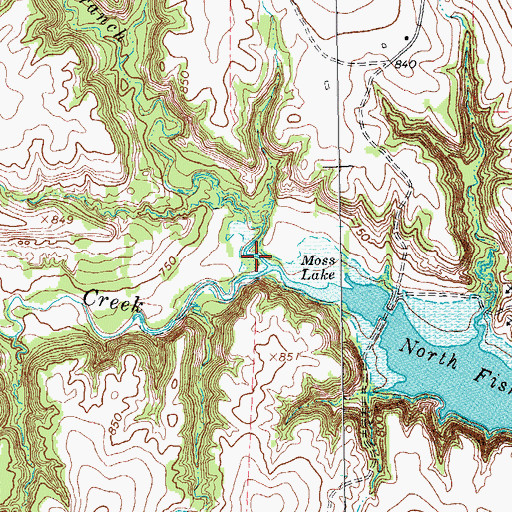 Topographic Map of Long Branch, TX