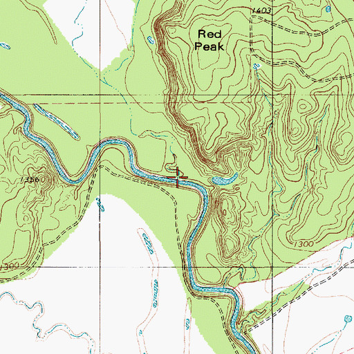 Topographic Map of Long Branch, TX