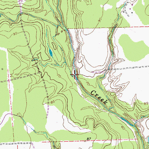 Topographic Map of Longs Branch, TX