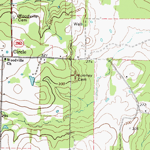 Topographic Map of Looney Cemetery, TX