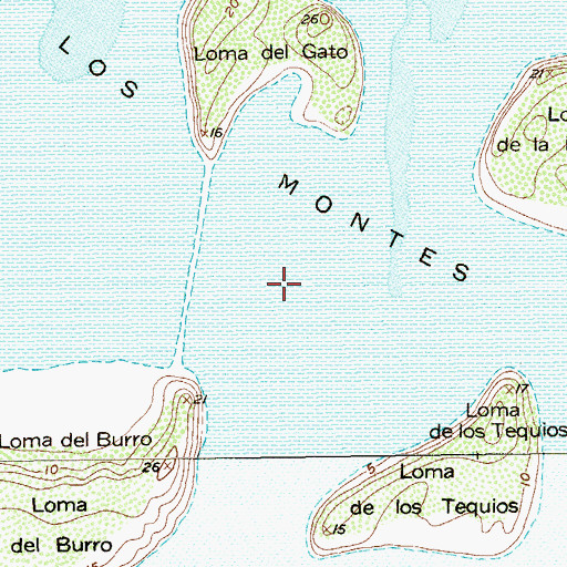Topographic Map of Los Montes, TX
