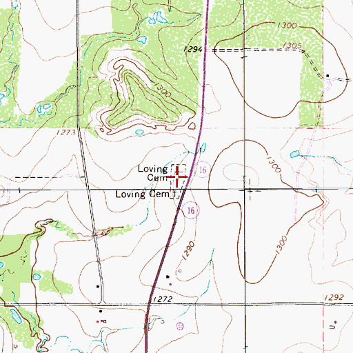 Topographic Map of Loving Cemetery, TX