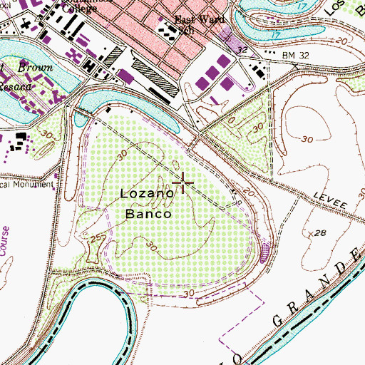 Topographic Map of Lozano Banco, TX