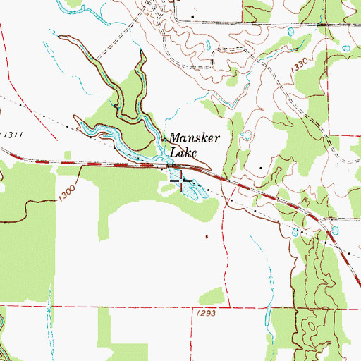 Topographic Map of Mansker Lake, TX