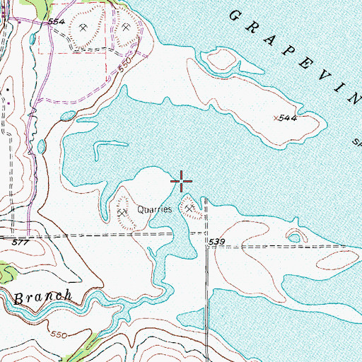 Topographic Map of Marshall Branch, TX