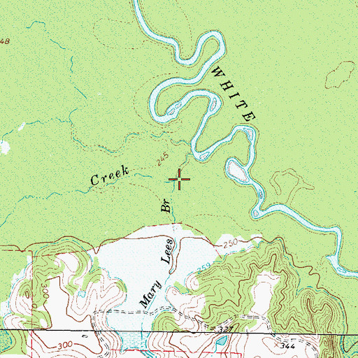 Topographic Map of Mary Lees Branch, TX
