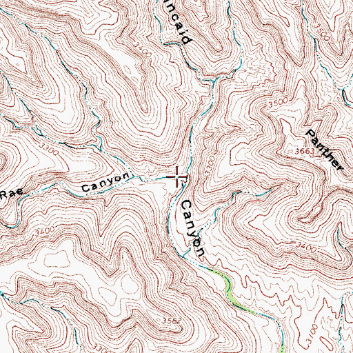 Topographic Map of McRae Canyon, TX