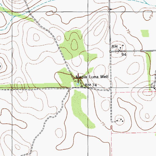 Topographic Map of Media Luna Well, TX