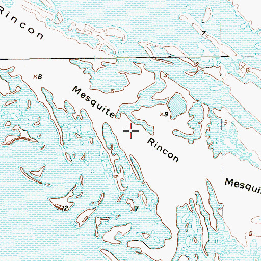 Topographic Map of Mesquite Rincon, TX