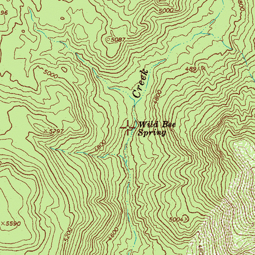 Topographic Map of Wild Bee Spring, AZ