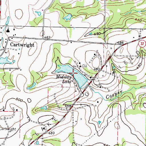 Topographic Map of Midway Lake, TX