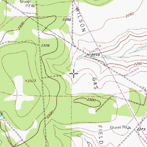 Topographic Map of Miers Wilson Gas Field, TX