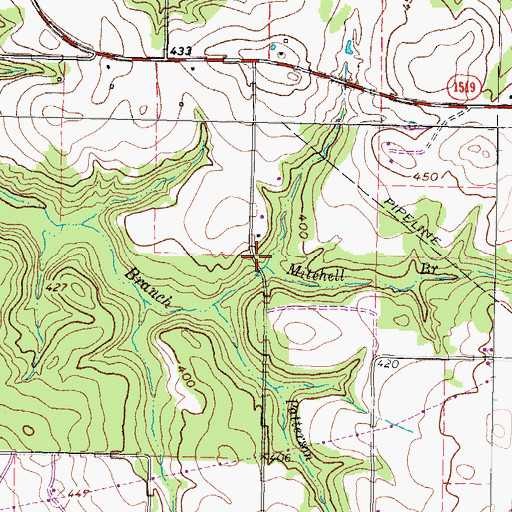 Topographic Map of Mitchell Branch, TX