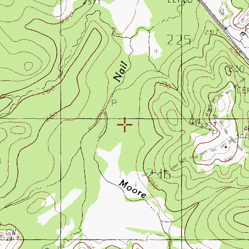 Topographic Map of Moore Branch, TX
