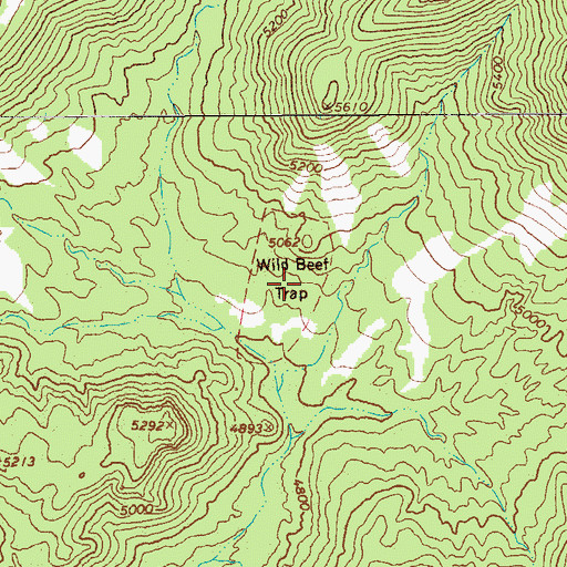 Topographic Map of Wild Beef Trap, AZ